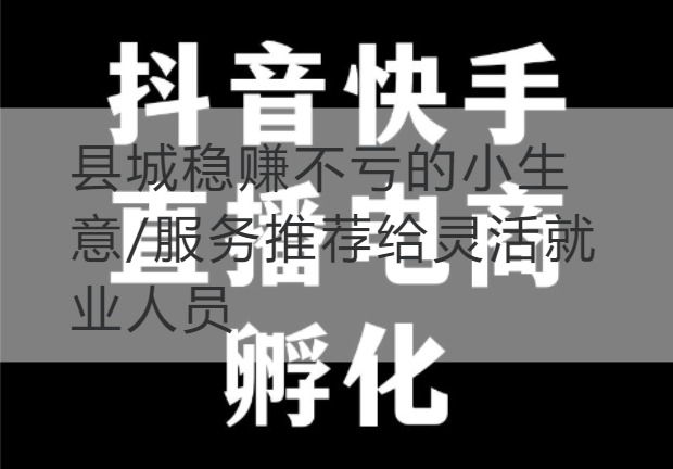 连云港县城稳赚不亏的小生意/服务推荐给灵活就业人员