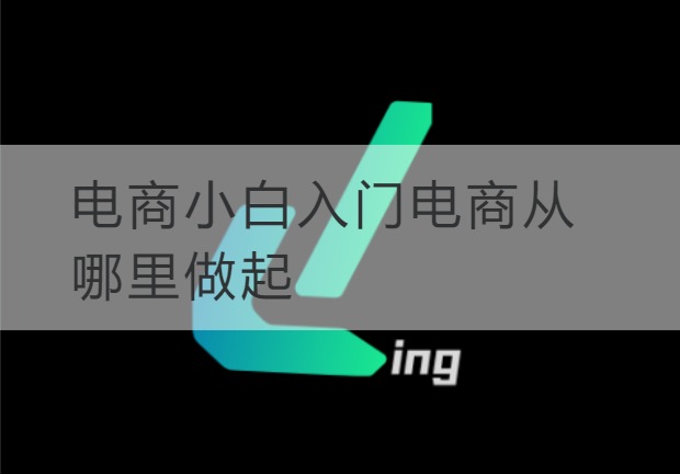 滨海新电商小白入门电商从哪里做起