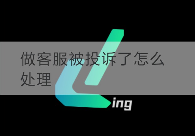 海南做客服被投诉了怎么处理