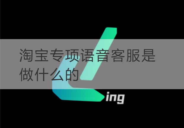 滨海新淘宝专项语音客服是做什么的
