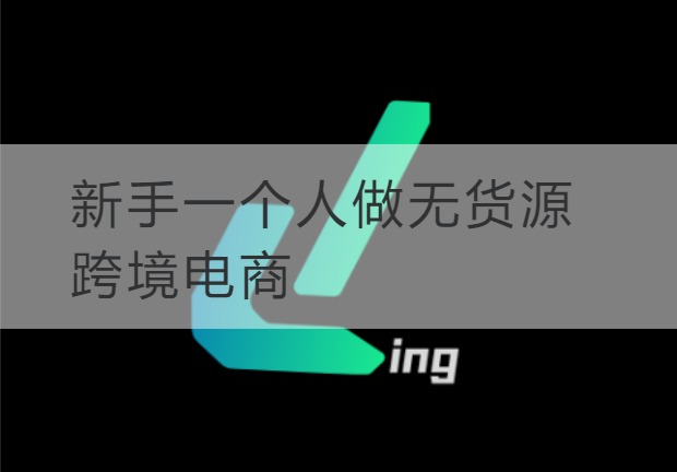 连云港新手一个人做无货源跨境电商
