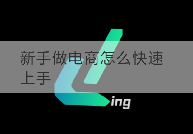 连云港新手做电商怎么快速上手